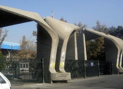 5 رشته پر مقاله دانشگاه تهران، پر استنادترین اساتید را بشناسید