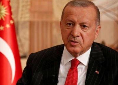 اردوغان: مقامات آمریکا، آلمان و فرانسه با تروریستها دیدار می نمایند