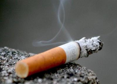 مافیای سیگار مانع دریافت مالیات