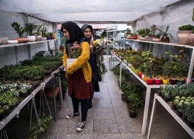 بهترین باغ گل های تهران کدامند؟