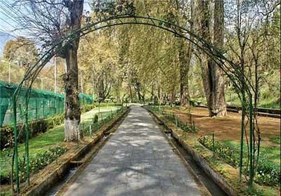 آشنایی با باغ زیبای هارون در کشمیر