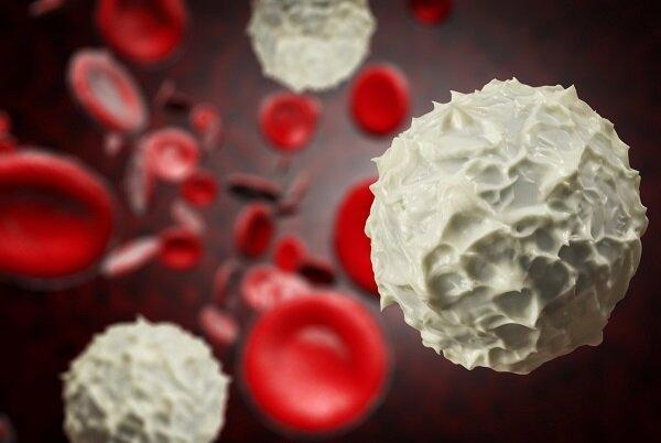 مولکول دی ان ای به جنگ سلول های سرطانی خون می رود