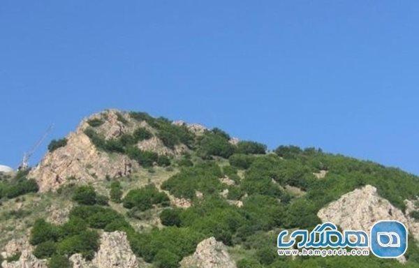 منطقه شکار ممنوع سیاه بیشه یکی از دیدنی های استان مازندران به شمار می رود