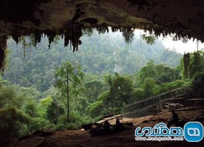 غار نیاح یکی از جاذبه های طبیعی مالزی به شمار می رود (تور ارزان مالزی)